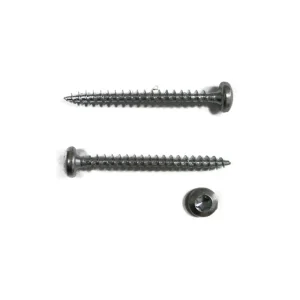 Iverni vijaki torx polkrozna glava